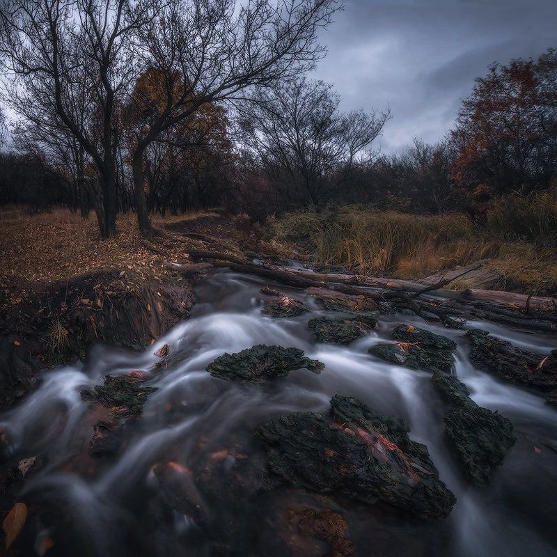 Ноябрьское настроениеphoto preview