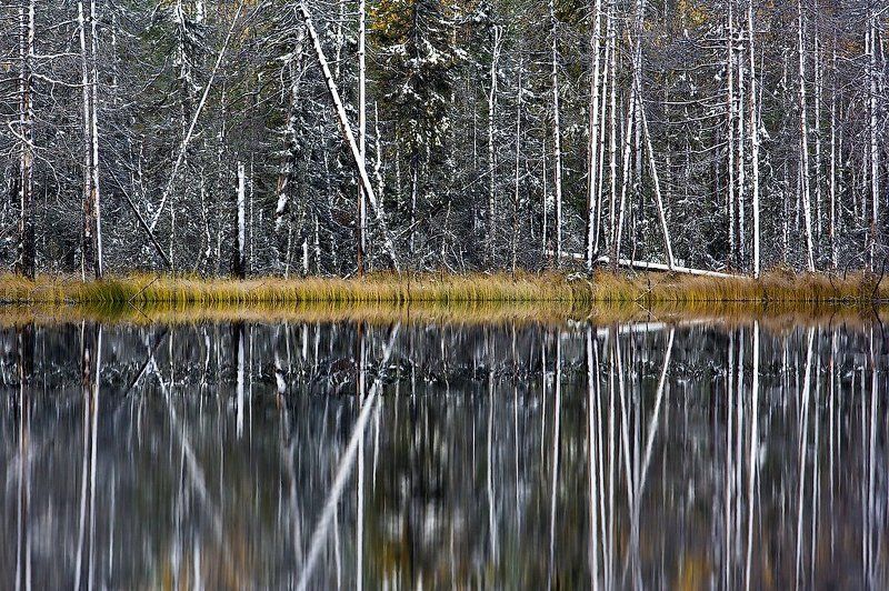 Осенний штрихкодphoto preview