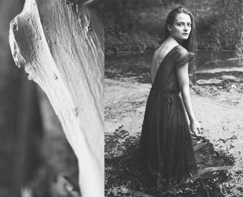 Creative paradoxphoto preview