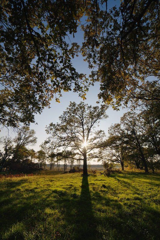 Осеньphoto preview