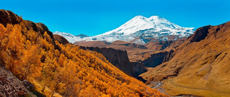 осенний Эльphoto preview