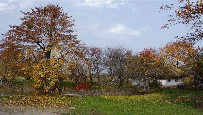 *** фото превью