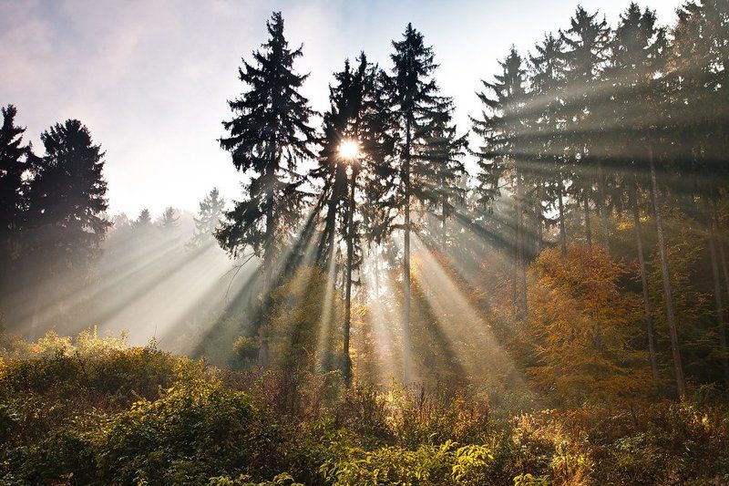 Heart of lightphoto preview