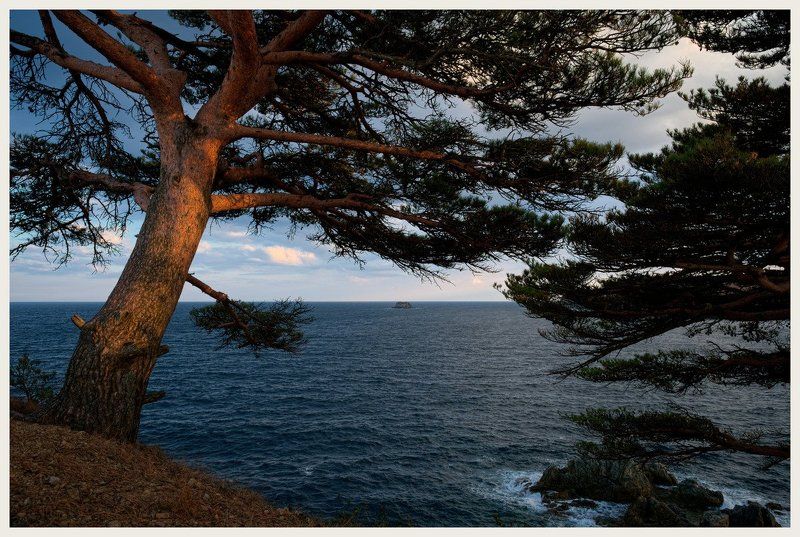 Ежегодное посещение 2photo preview