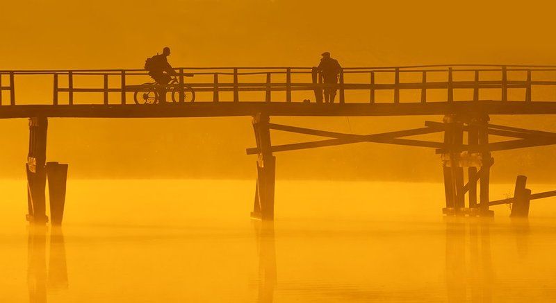 Fishing For A Dreamphoto preview