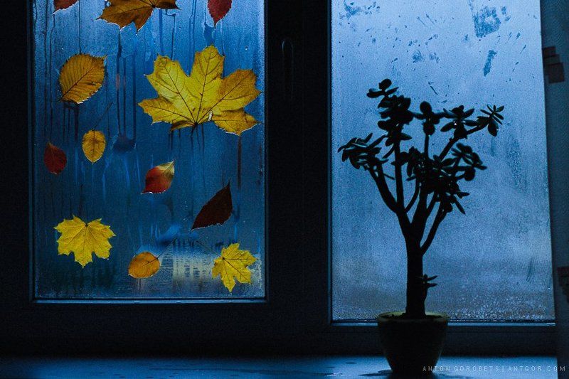 Осеньphoto preview