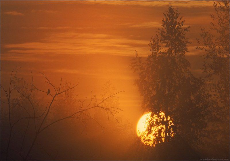 Встречая рассвет.photo preview