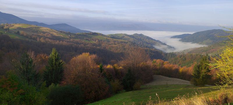 Краски Карпатphoto preview