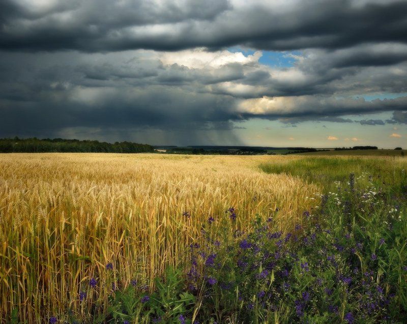 На межеphoto preview