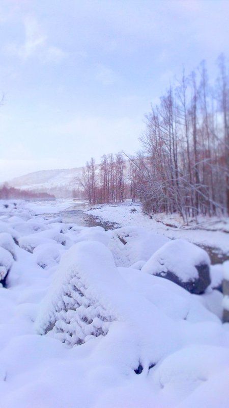 Река Палаткаphoto preview