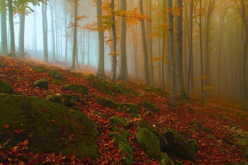 From cold to warmphoto preview