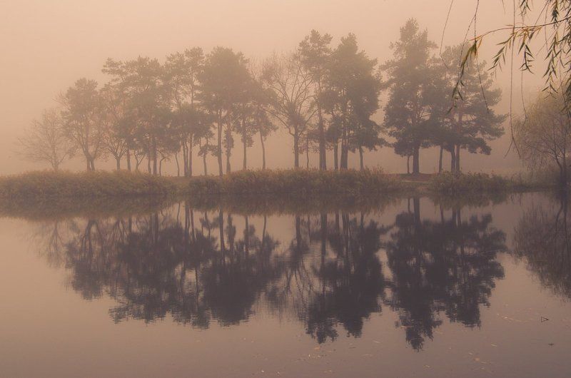 Сказочный туманphoto preview