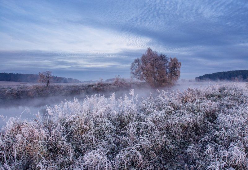 утро, иней, мороз, свислочь, рассвет, туман Морозное утроphoto preview