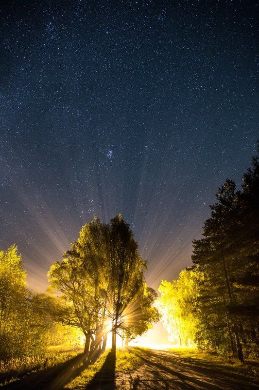 Звезды и фонариphoto preview