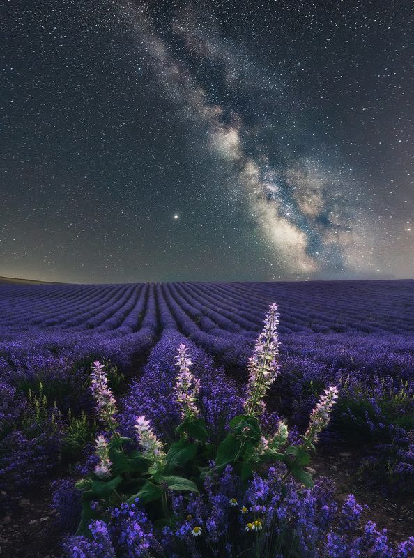 крым, лаванда, лавандовое поле, млечный путь, звезды, звездное небо, ночной пейзаж, астрофотография, фототур, ночь, лучшие фотографии, россия Сны лавандового поля. Крымphoto preview