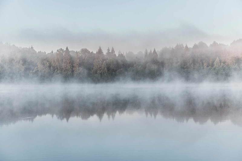 Туманное утроphoto preview