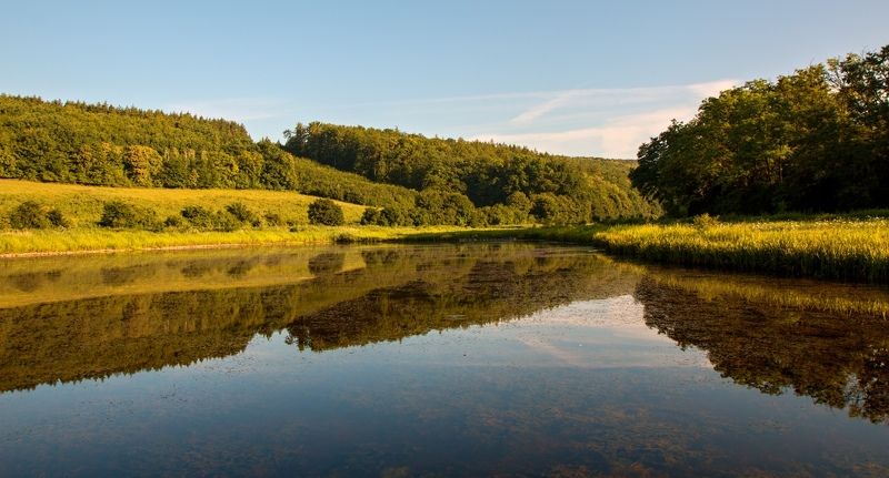 Morning by the pondphoto preview