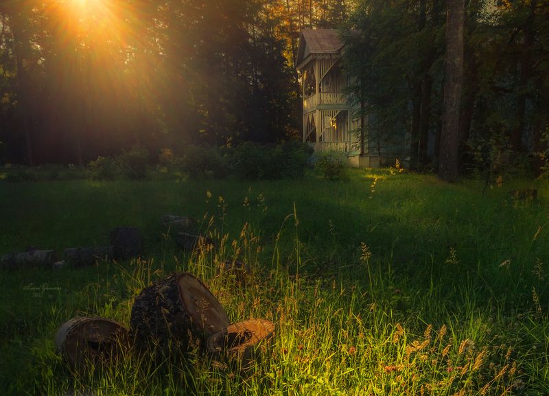 щелыково Утро. Щелыковоphoto preview