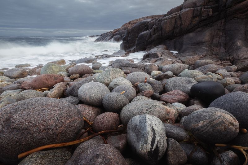 Кольский полуостров, Териберка Побережье Баренцева моря. Териберка.photo preview