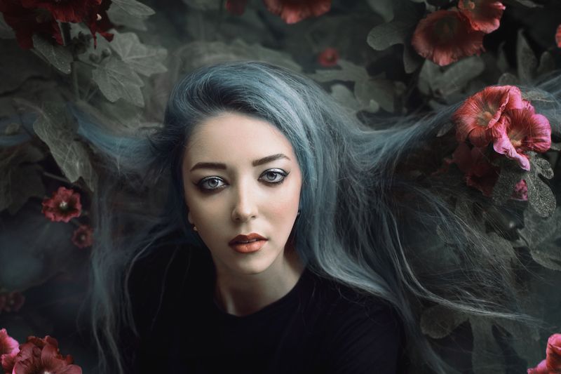 цветыphoto preview