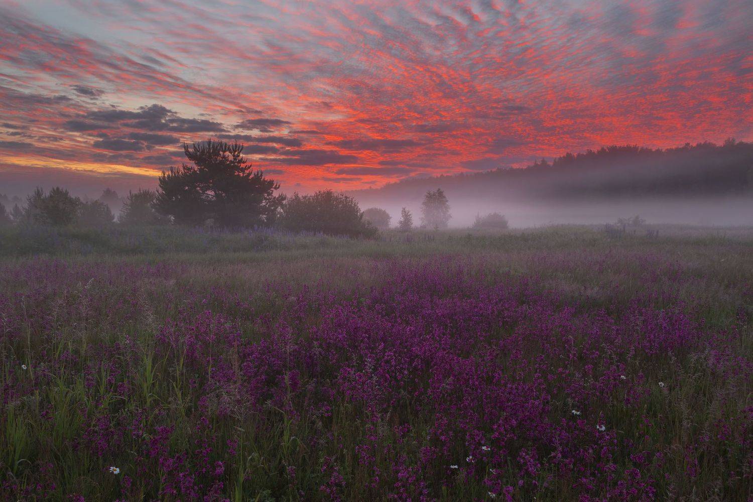 Фототуры с Владимиром Рябковым, #topnature #russpasibo #magic_shots #lovelyRussia #sunset_vision #exclusive_sky  #exclusive_shots #loves_russia2 #photoarena_nature #nature_sultans #nature_perfection #rsa_sky #rsa_sunset #photorussia #rsa_naturepics #sunse, Владимир Рябков