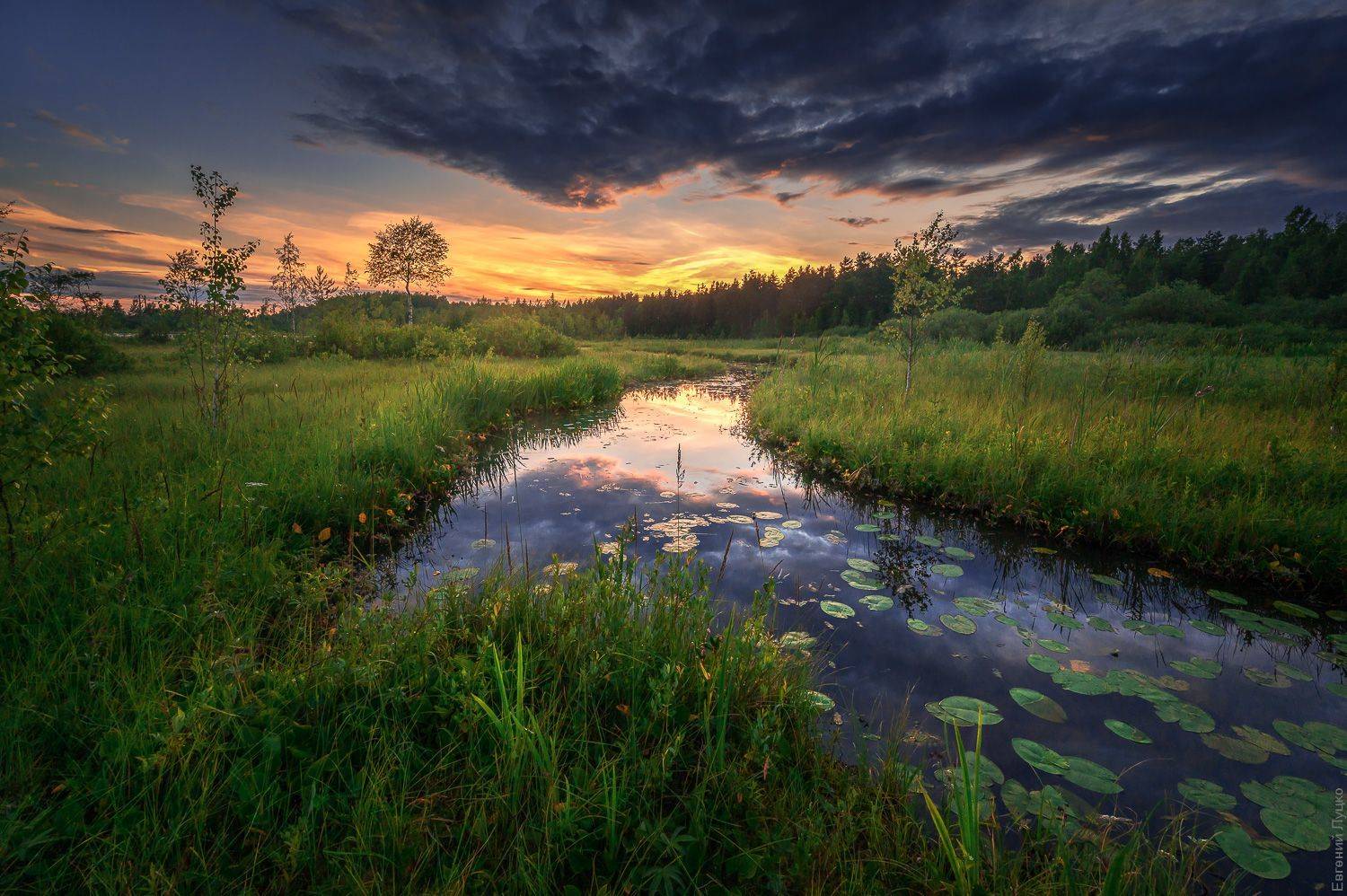 Ленобласть. Автор: Evgeny Lutsko , Evgeny Lutsko