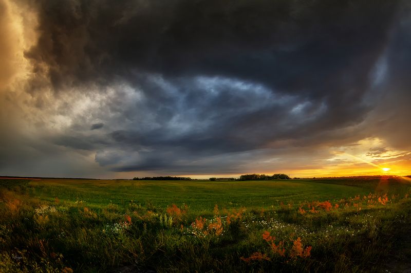 Беларусь  Такое вот летоphoto preview