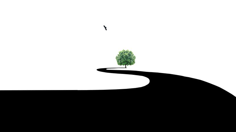 All It Takesphoto preview