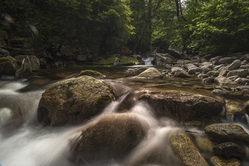 тайга, горы, река photo preview