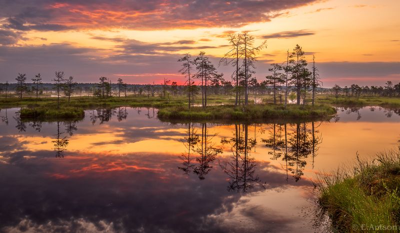 пейзаж, природа, эстония Рассвет на болотеphoto preview