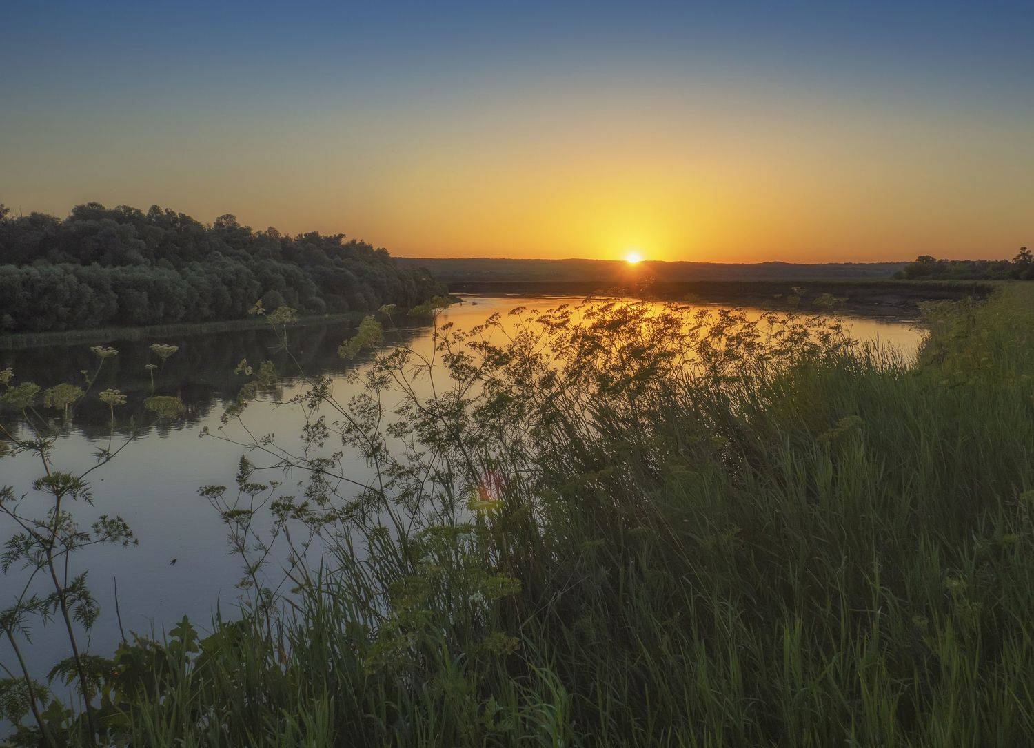 вечер, закат, природа,лето, травы, Володин Владимир Владимирович