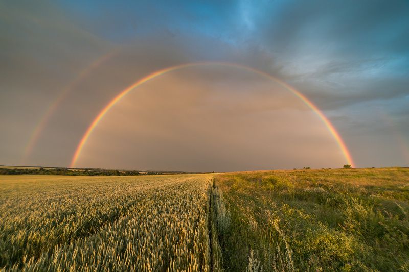 пейзаж, степь, дождь, лето, июнь, landscape, summer, steppe, радуга, rainbow The rainbowphoto preview