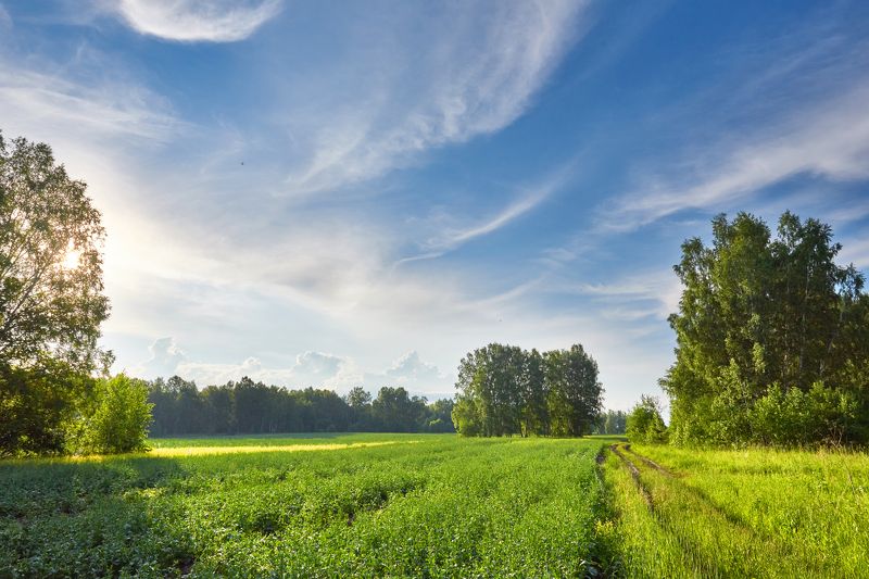 Светлое утроphoto preview