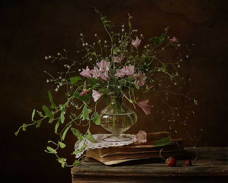 Спящий вьюнок и красные ягодыphoto preview