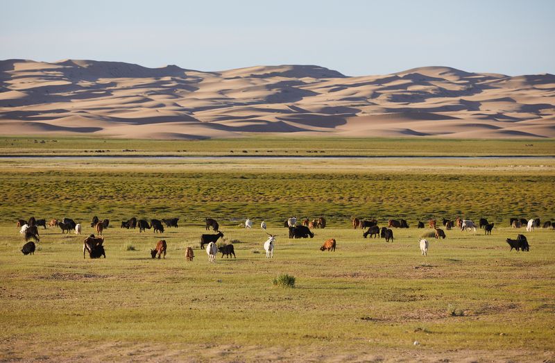 река, пейзаж, пустыня, природа Река жизниphoto preview