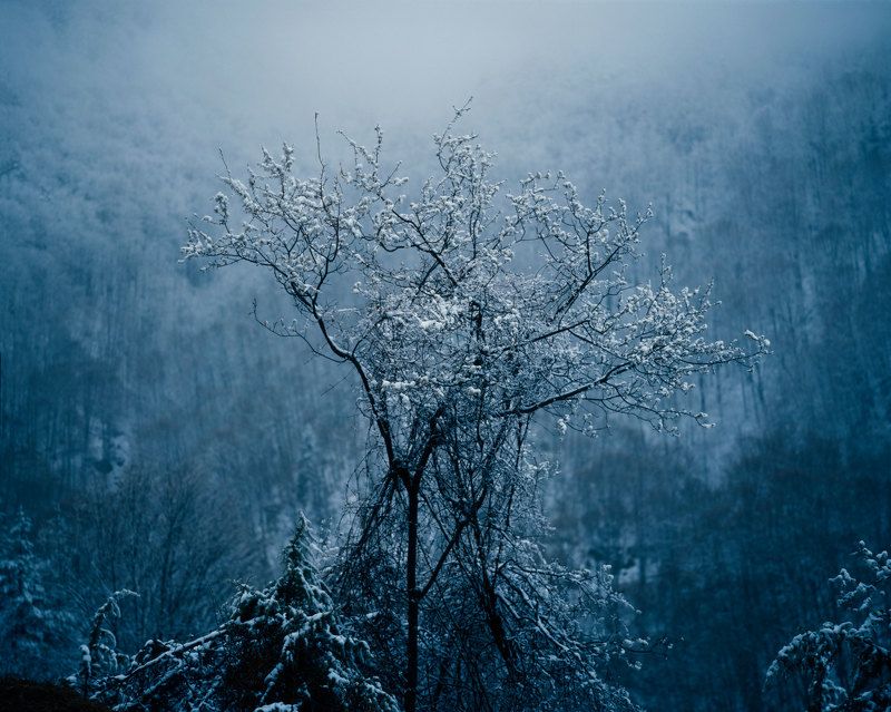 Winter in springphoto preview