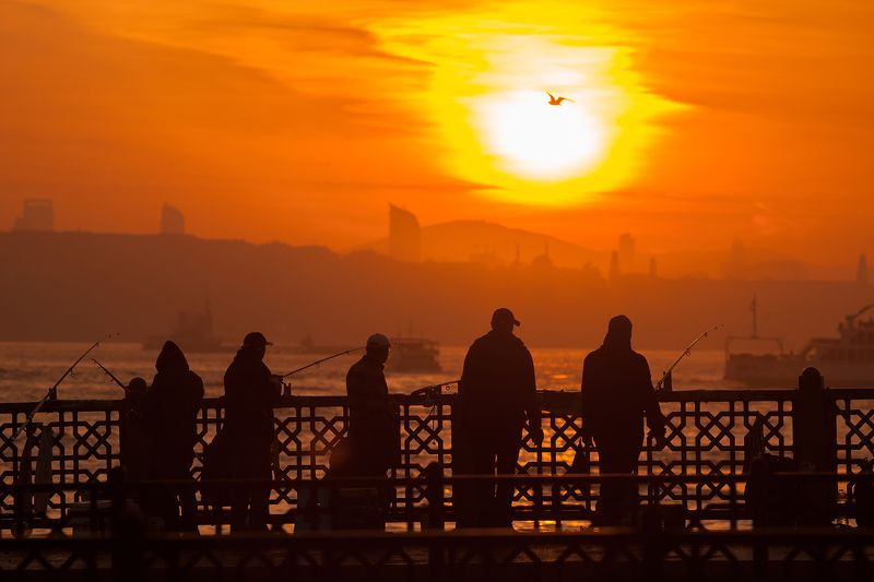 turkey, istanbul, galata bridge, dawn, fishermen Istanbul. Galata bridge.photo preview