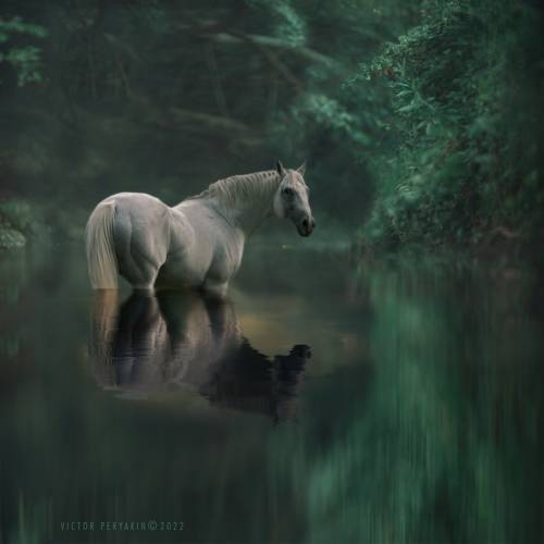 случайная встреча