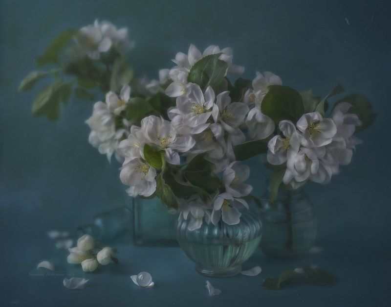 яблоневый цвет*photo preview