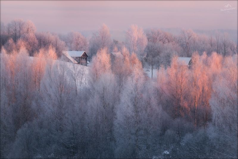 Пушкинские горы, Пушкин, Псков, Псковская область, Савкино, Савкина гора, зима, Утро в Пушкинских Горахphoto preview