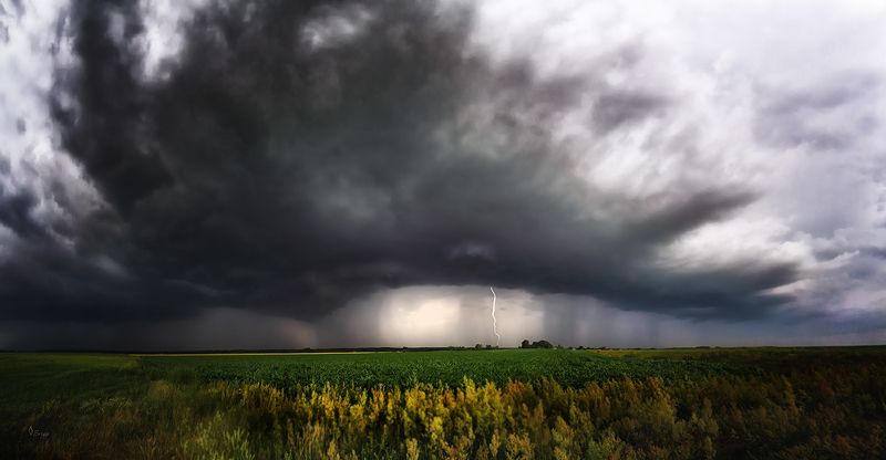 Беларусь Такое вот летоphoto preview