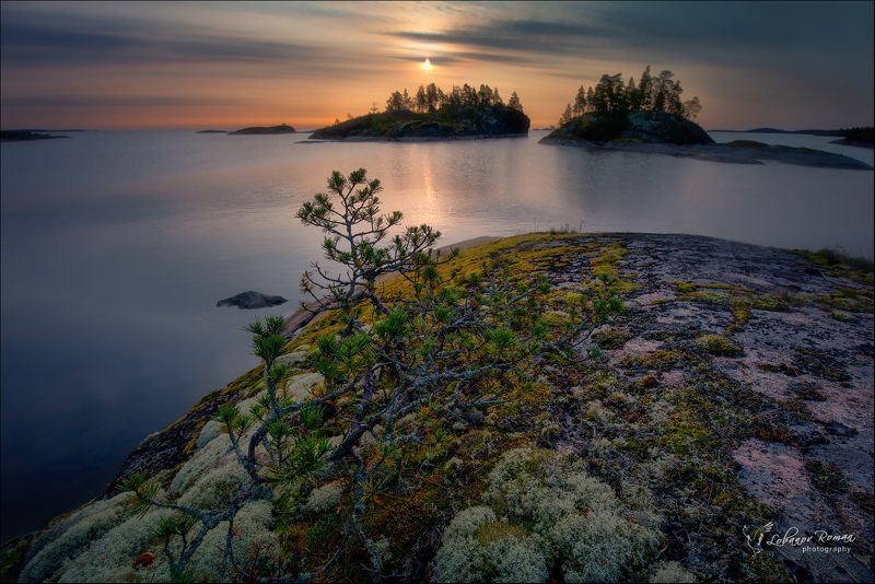 ладога, лобанов, пересвет * * *photo preview