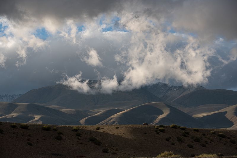 Алтайphoto preview