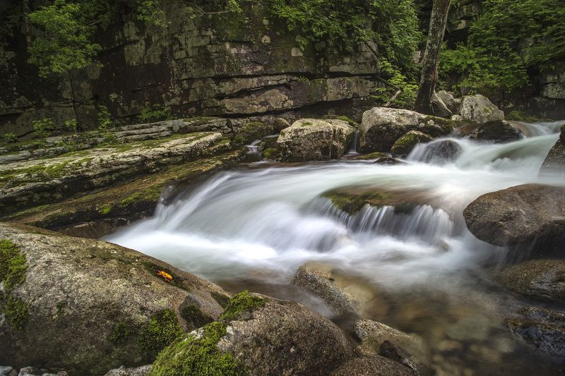 тайга, горы, река photo preview