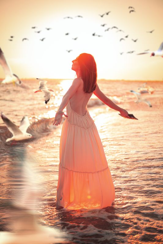 Jonathan Livingston Seagullphoto preview