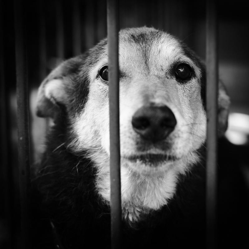 Беседа...photo preview