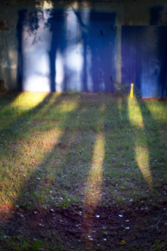 В темно-синем лесу....photo preview