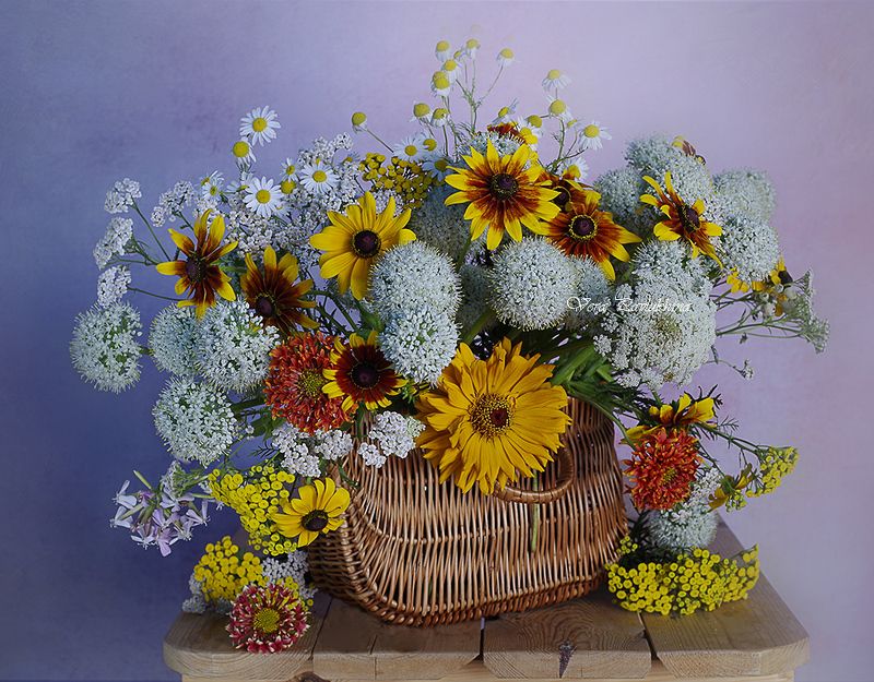 натюрморт, вера павлунина, цветы, Июльские цветы в лукошке.photo preview