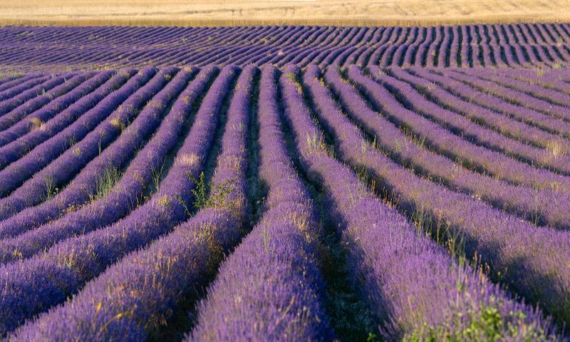 Ритмы июляphoto preview