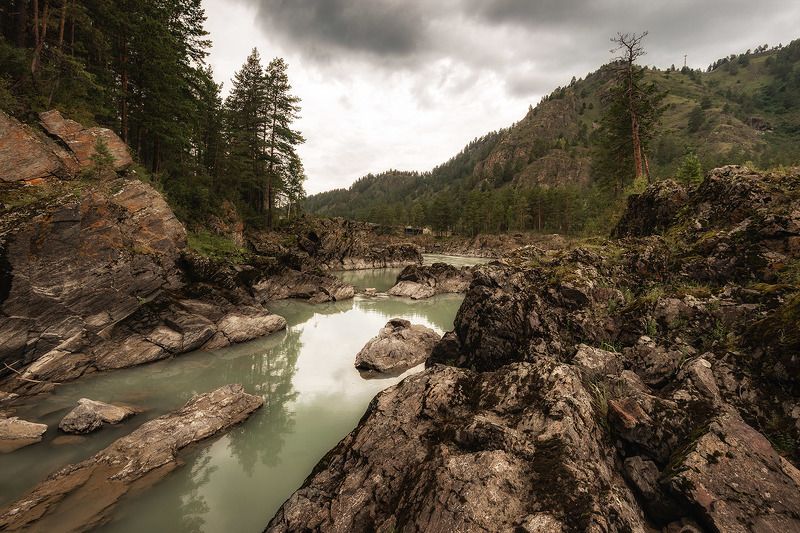 природа *****photo preview